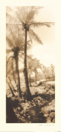 Equatorial Breeze I Print Equatorial Breeze I Print