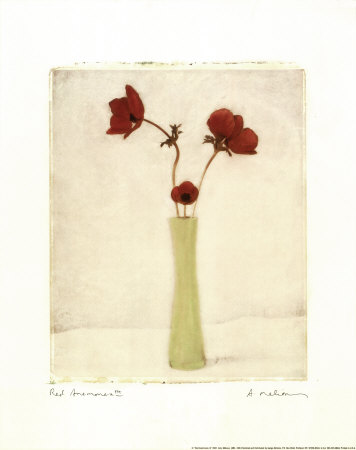 Red Anemones III Print Red Anemones III Print