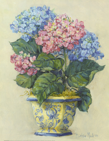 Hydrangea Blooms I Print Hydrangea Blooms I Print