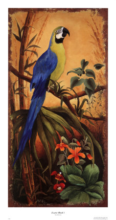 Exotic Birds I Print Exotic Birds I Print