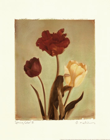 Spring Color IV Print Spring Color IV Print