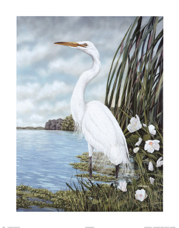 Great White Egret Print Great White Egret Print