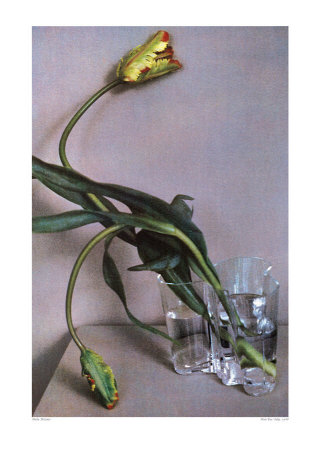Man Ray Tulip, 1988 Print Man Ray Tulip, 1988 Print