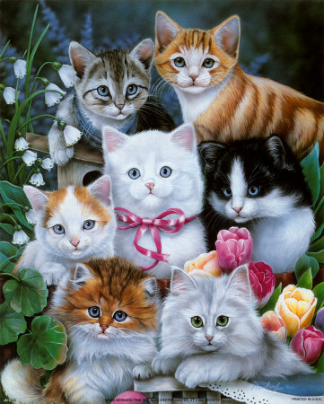 Kitties I Print Kitties I Print