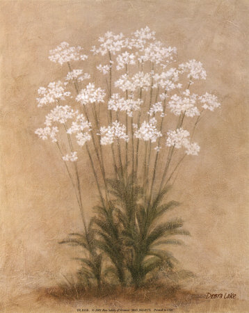 Floral Sprays Print Floral Sprays Print