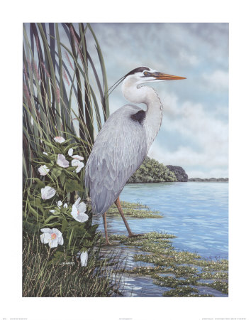Great Blue Heron Print Great Blue Heron Print