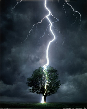 Lightning Poster Lightning Poster