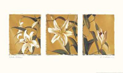 White Lilies Print White Lilies Print