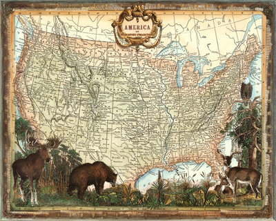 USA Map Print USA Map Print