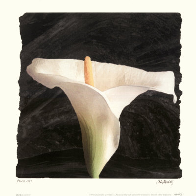 Calla Lily Print Calla Lily Print