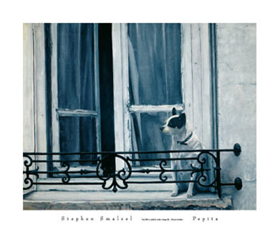 Pepita Print Pepita Print