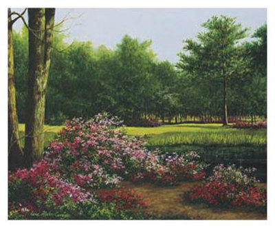 Azalea Park Print Azalea Park Print