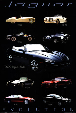 Jaguar Evolution Poster Jaguar Evolution Poster