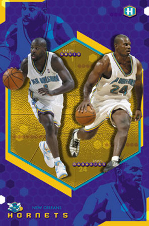 New Orleans Hornets Poster New Orleans Hornets Poster