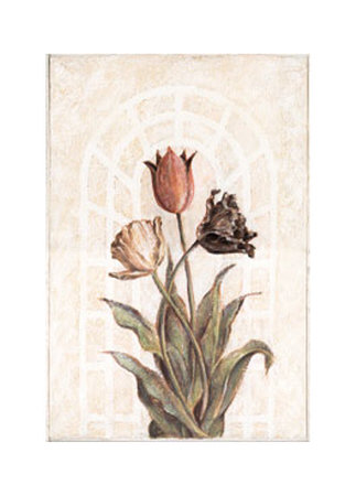 Tulip Companion II Print Tulip Companion II Print