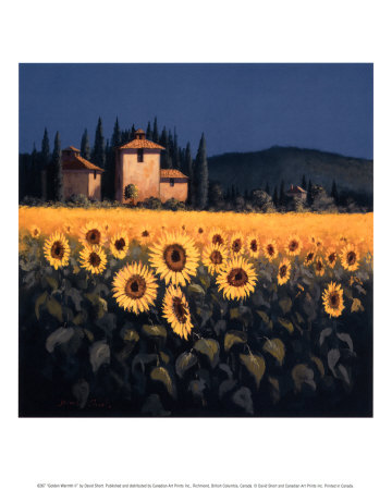 Golden Warmth II Print Golden Warmth II Print
