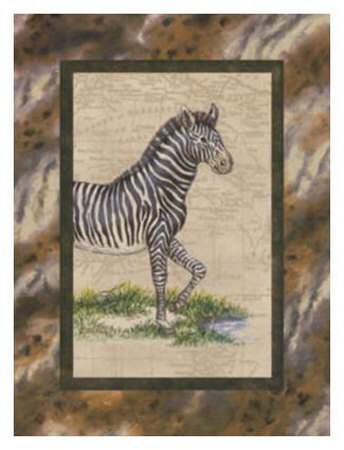 Zebra Print Zebra Print