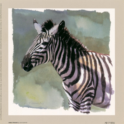 Zebra Portrait Print Zebra Portrait Print