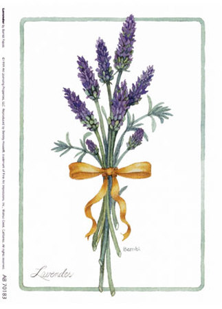 Lavender Print Lavender Print
