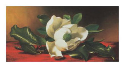 Magnolia Print Magnolia Print