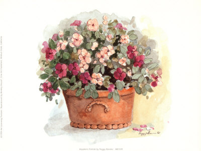 Impatiens Portrait Print Impatiens Portrait Print