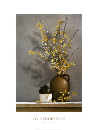 Forsythia Print Forsythia Print
