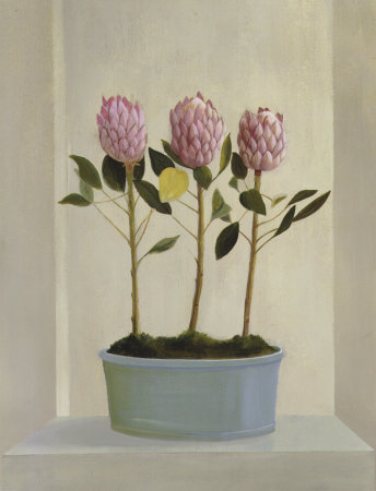 Protea Stand Print Protea Stand Print