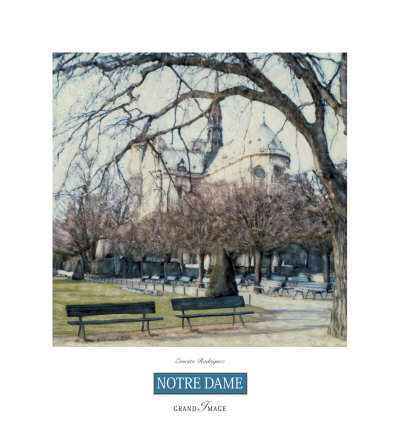 Notre Dame Print Notre Dame Print
