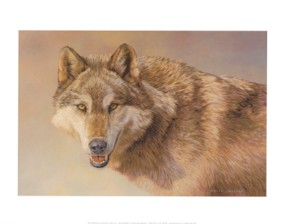 Wolf Portrait Print Wolf Portrait Print