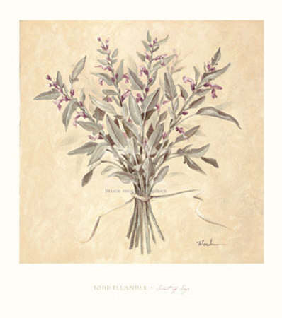 Scent of Sage Print Scent of Sage Print