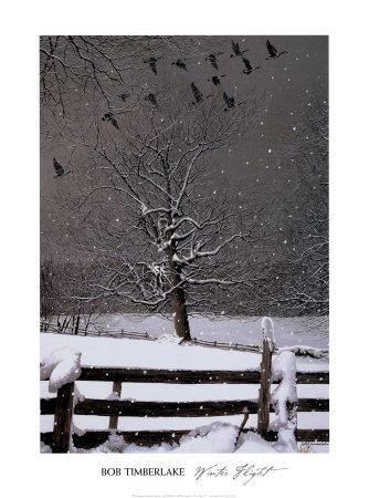 Winter Flight Print Winter Flight Print
