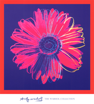 Daisy, c.1982 (Blue and Red) Print Daisy, c.1982 (Blue and Red) Print