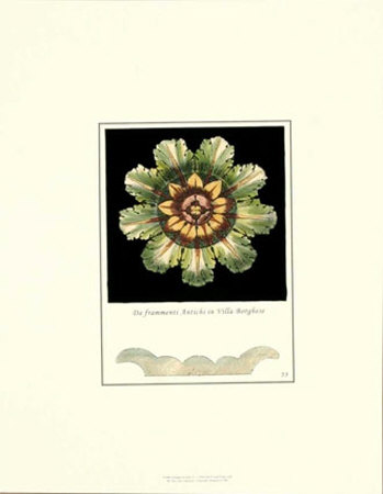 Antique Rosette V Print Antique Rosette V Print