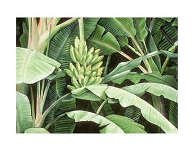 Hawaii IV Print Hawaii IV Print