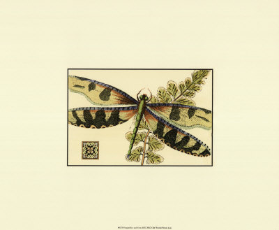 Dragonflies and Ferns II Print Dragonflies and Ferns II Print