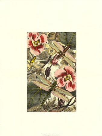 Dancing Dragonfly II Print Dancing Dragonfly II Print