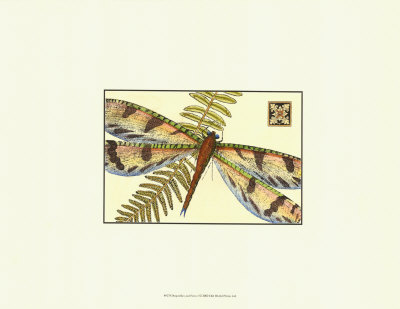 Dragonflies and Ferns I Print Dragonflies and Ferns I Print