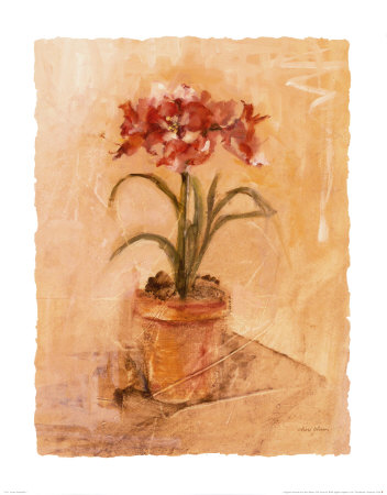 Secret Amaryllis I Print Secret Amaryllis I Print