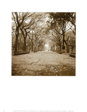Central Park Print Central Park Print