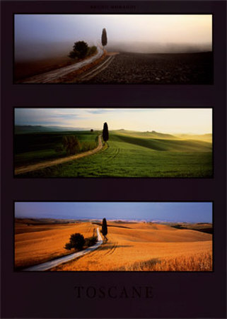 Toscane Print Toscane Print