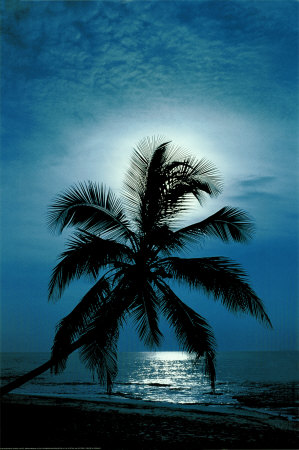 Moonlight Sonata Poster Moonlight Sonata Poster