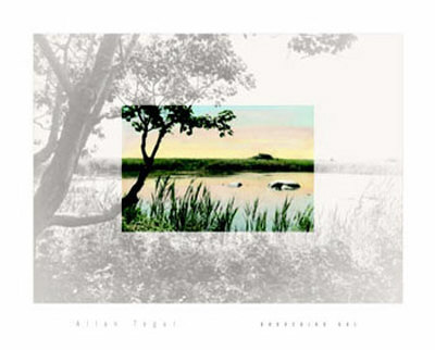 Branching Out Print Branching Out Print