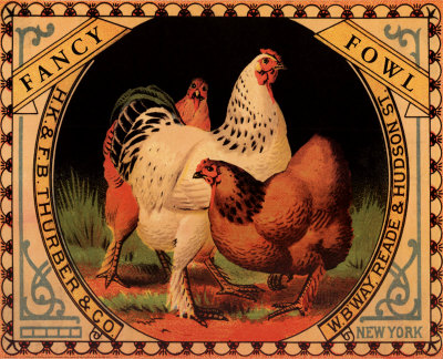 Fancy Fowl Print Fancy Fowl Print