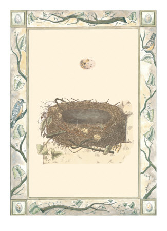 Woodland Nest II Print Woodland Nest II Print
