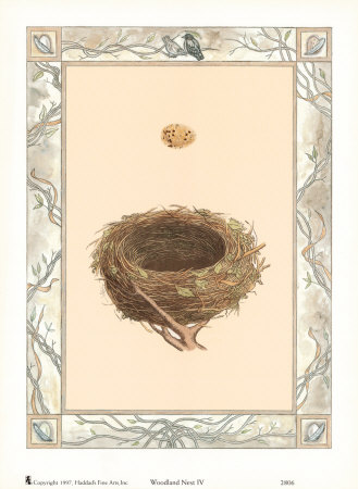 Woodland Nest IV Print Woodland Nest IV Print