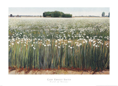 Field of Onions Print Field of Onions Print