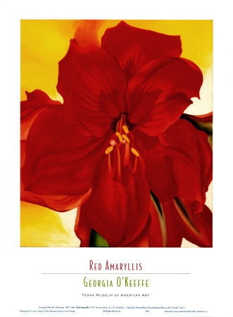 Red Amaryllis, 1937 Print Red Amaryllis, 1937 Print