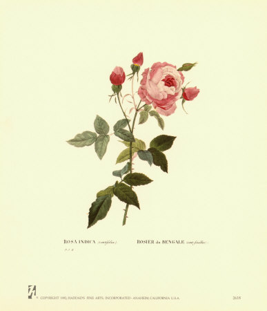 Roses Print Roses Print