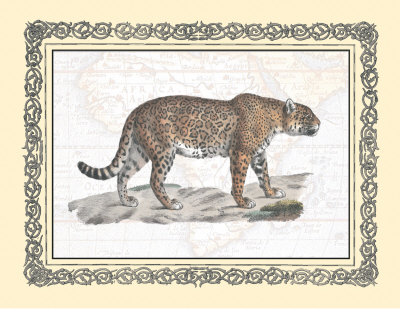 Jaguar Print Jaguar Print