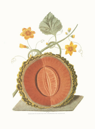 Melon Print Melon Print